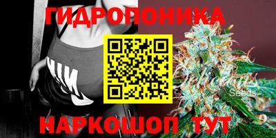 стаф Рузаевка