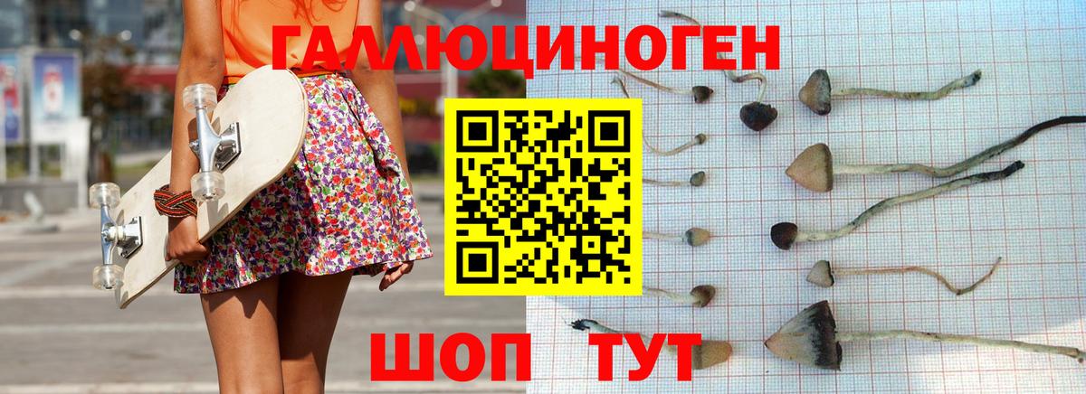 Галлюциногенные грибы Psilocybine cubensis Приморско-Ахтарск
