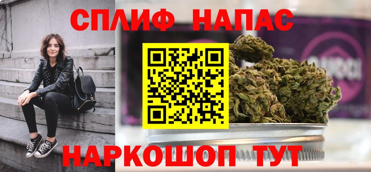Шишки марихуана план Приморско-Ахтарск